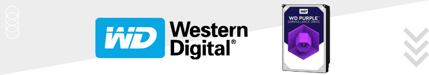 WESTERN-DIGITAL